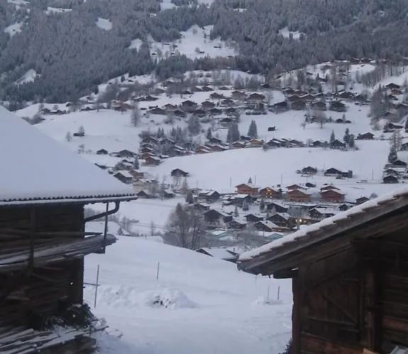 Appartement Baergblick *