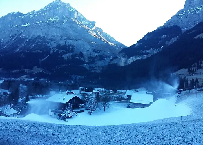 Baergblick Διαμέρισμα