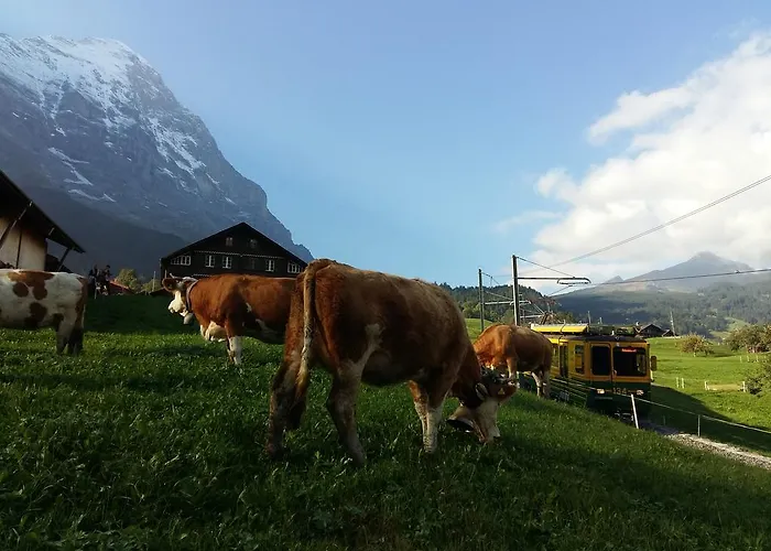 Baergblick Grindelwald