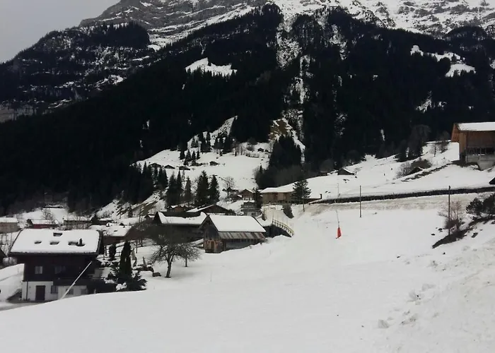 Appartement Baergblick Grindelwald