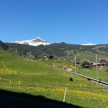 Bärgblick Grindelwald