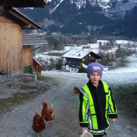 Bärgblick Apartment