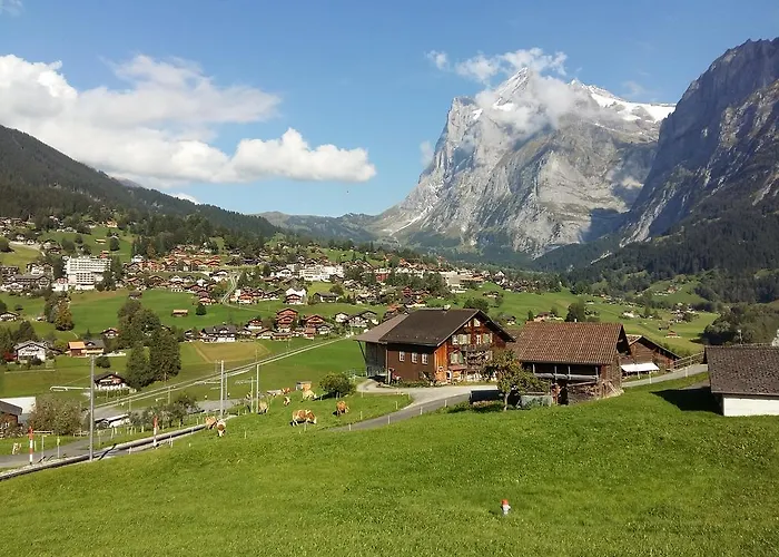 بارغبليك * جريندلوالد